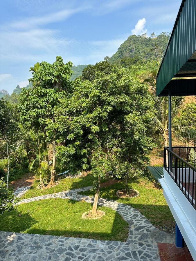 Felila Hostel & Tours Ha Giang Exteriér fotografie